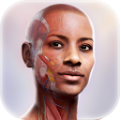 Complete Anatomy logo